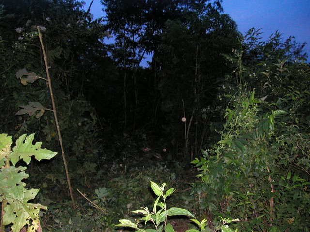 P1010086.JPG