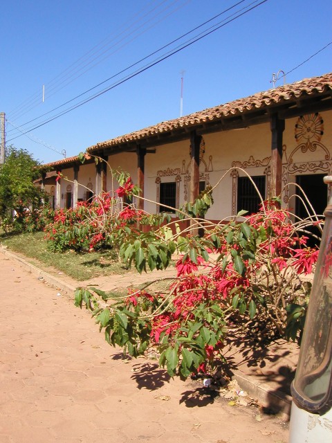 P1010092.JPG