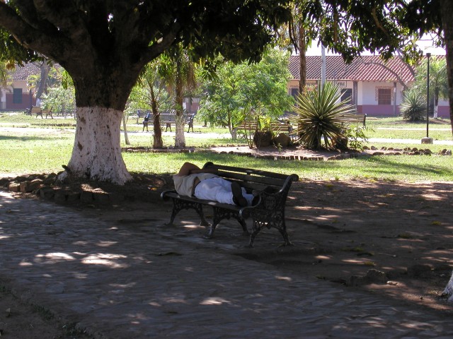 P1010100.JPG