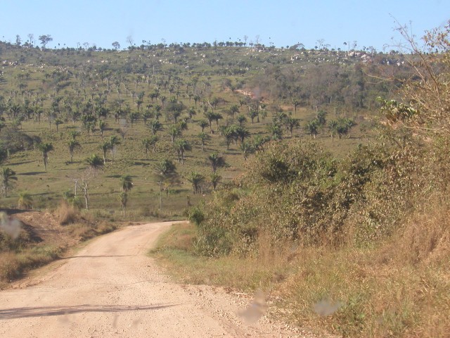 P1010101.JPG