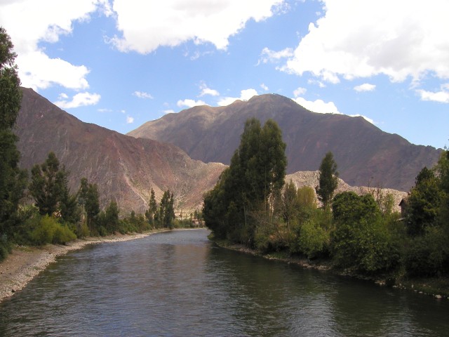 P1010146.JPG