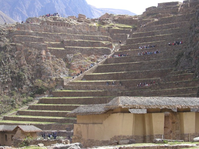 ZP1010002.jpg
