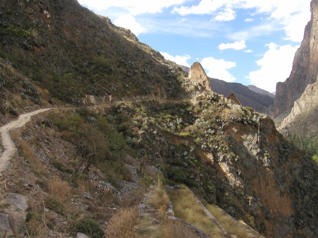ZP1010003.jpg