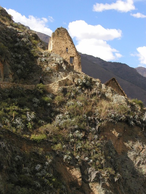 ZP1010004.JPG