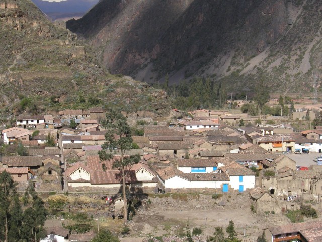 ZP1010005.jpg