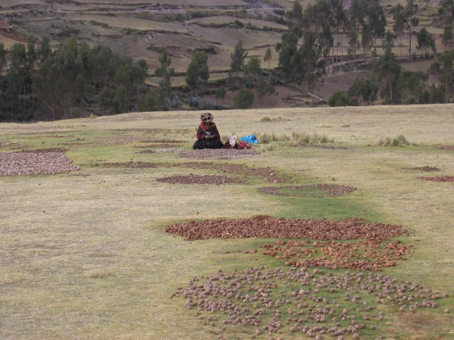 ZP1010012.jpg