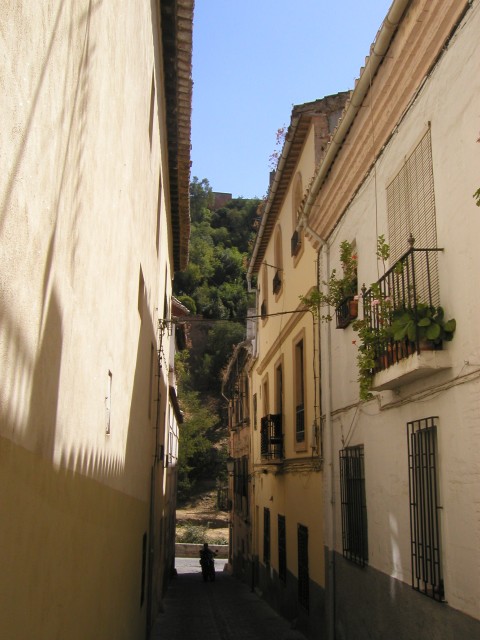 P1010135.JPG