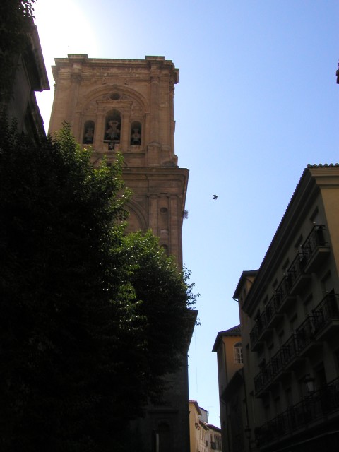 P1010140.JPG