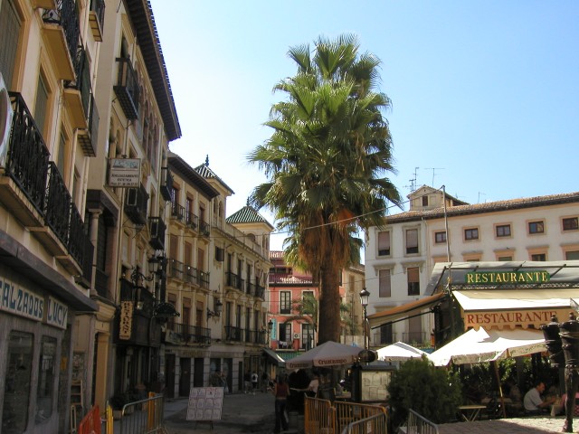 P1010142.JPG