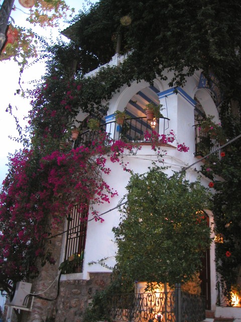 P1010116.JPG