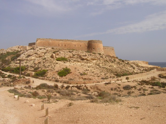 P1010125.JPG