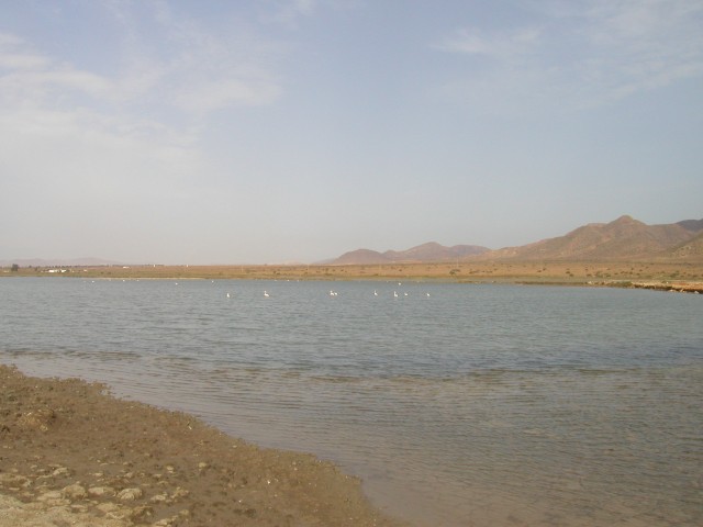 P1010147.JPG