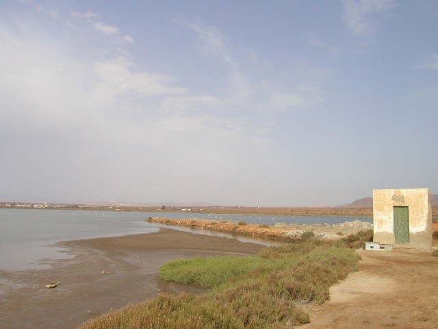P1010148.JPG