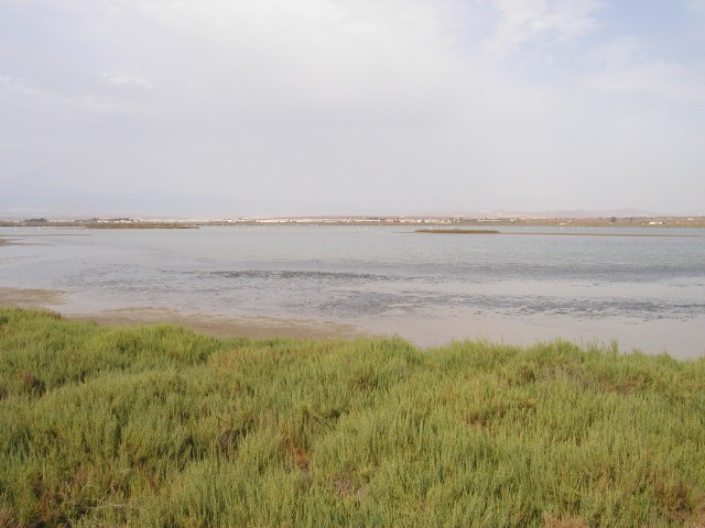 P1010149.JPG