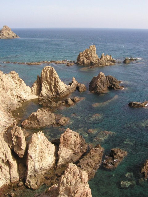 P1010155.JPG