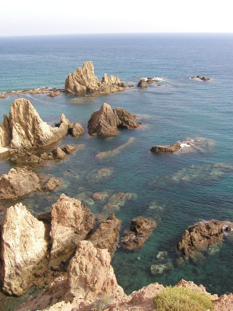 P1010157.JPG