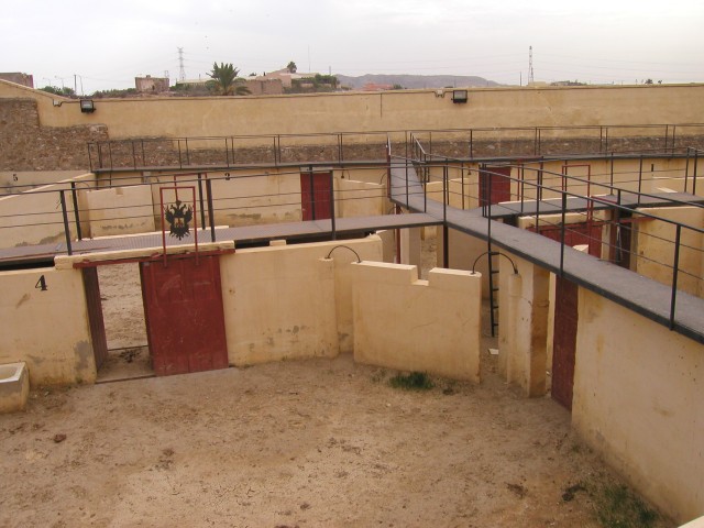 P1010203.JPG