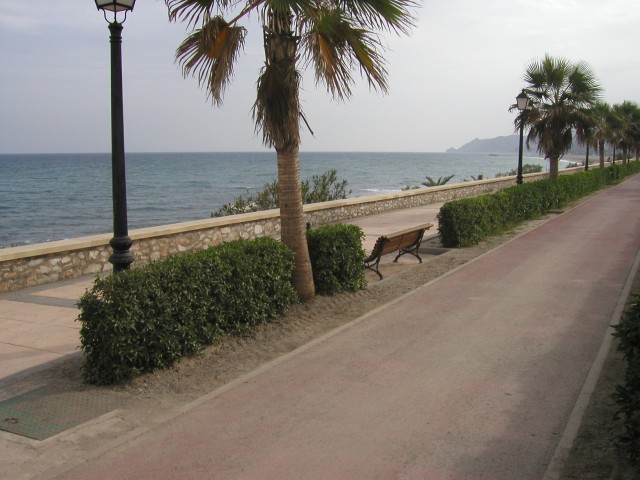 P1010211.JPG