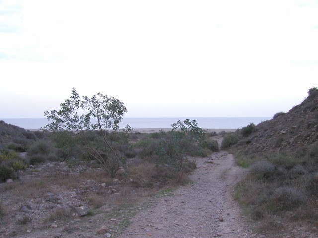 P1010219.JPG