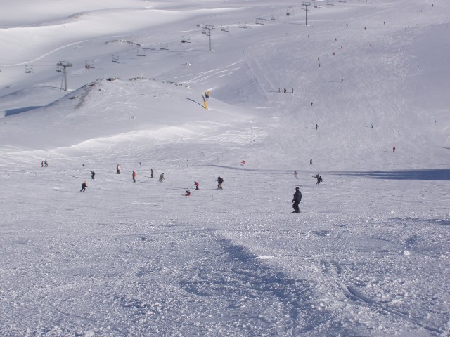 p1010133.jpg