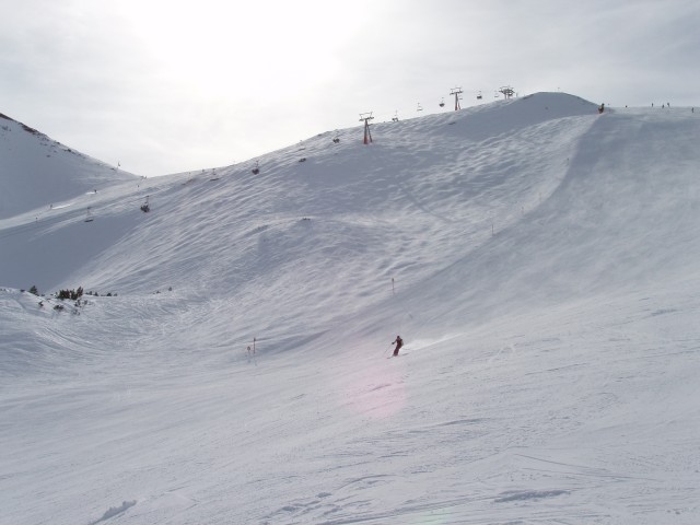 P1010135.JPG