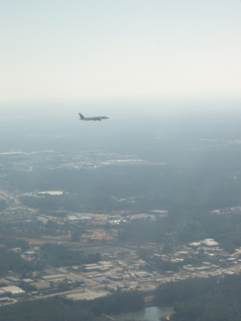 P1010008.JPG