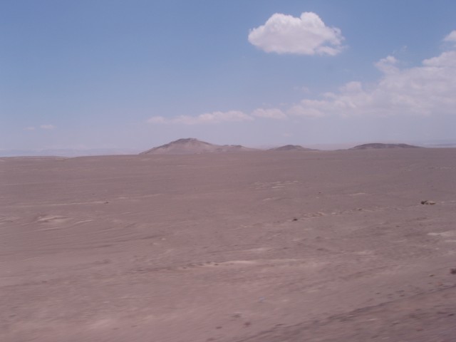 P1010022.JPG