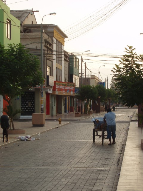 P1010036.JPG