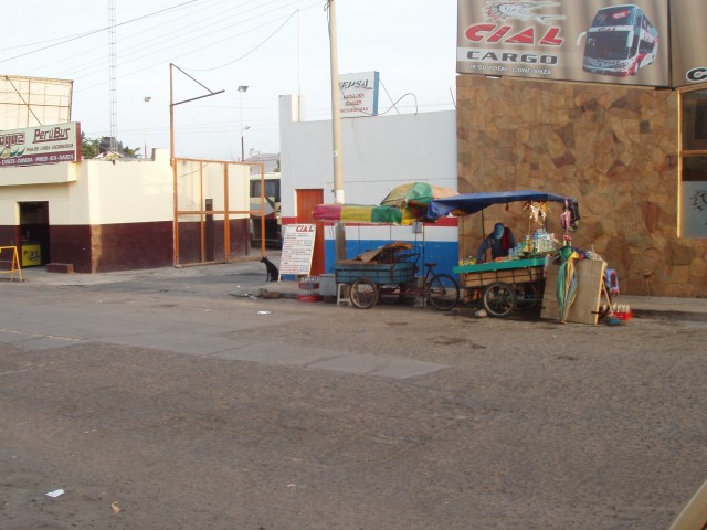 P1010039.JPG