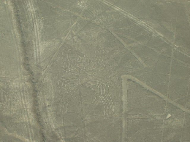 P1010072.JPG