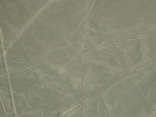 P1010073.JPG