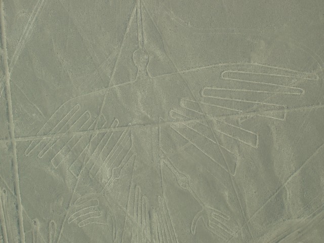 P1010074.JPG