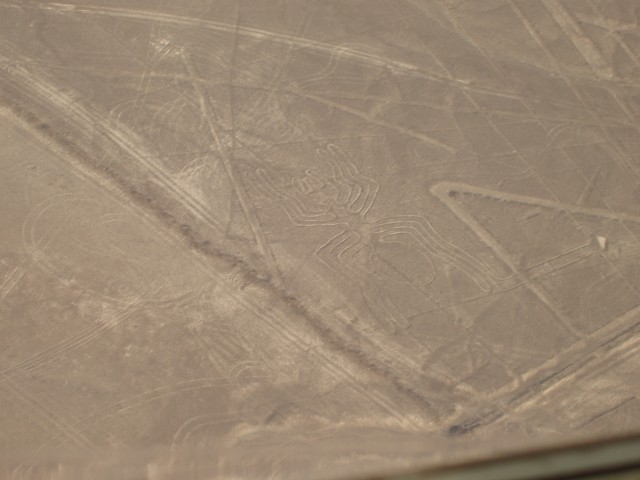P1010076.JPG