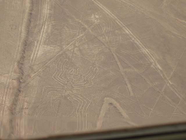 P1010077.JPG