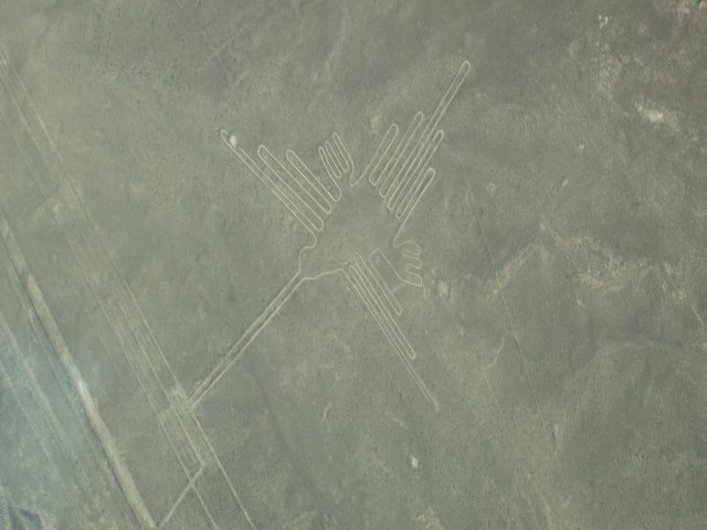 P1010080.JPG