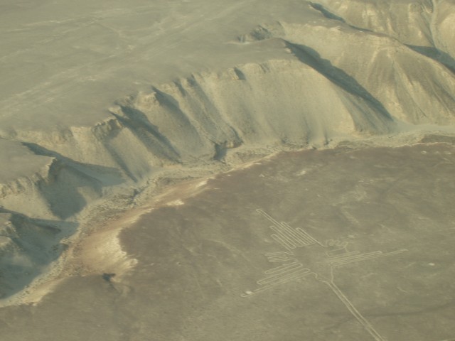 P1010083.JPG