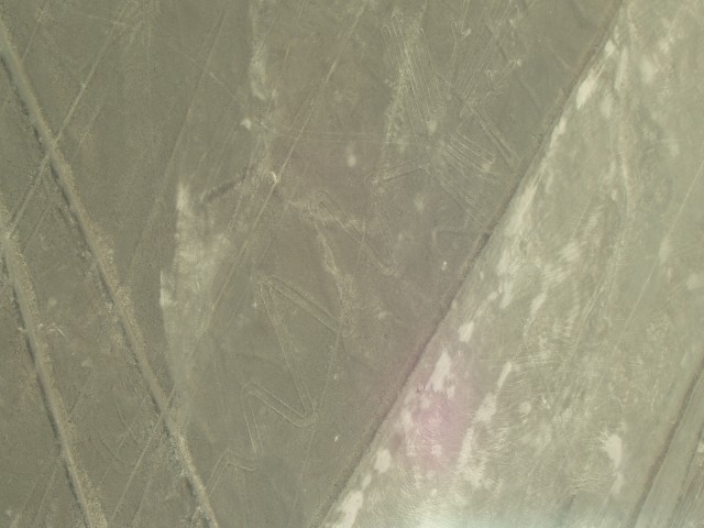 P1010087.JPG
