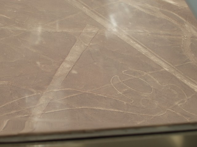 P1010092.JPG