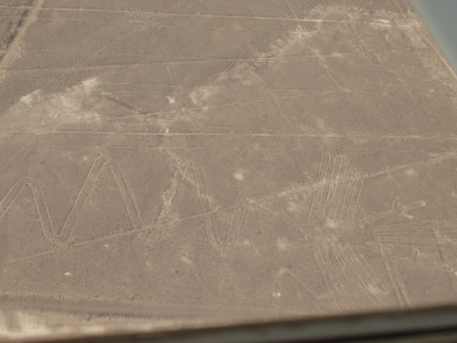 P1010093.JPG