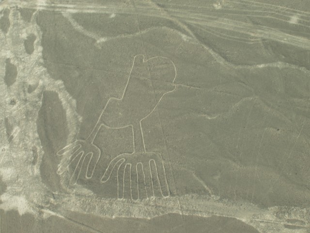 P1010096.JPG