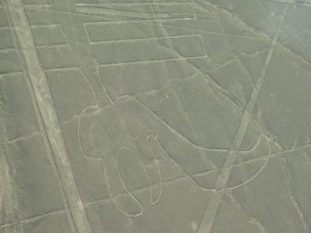P1010099.JPG