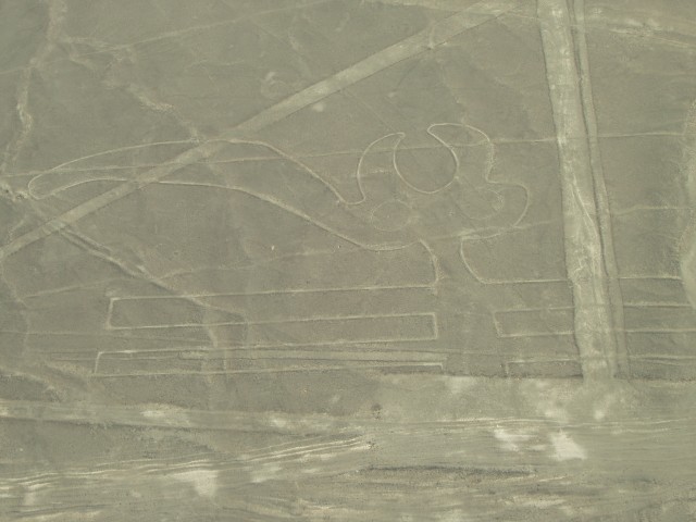 P1010100.JPG