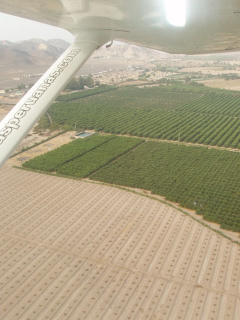 P1010110.JPG