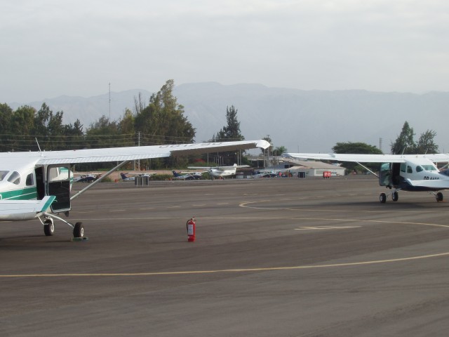P1010119.JPG
