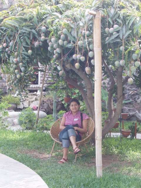 P1010126.JPG