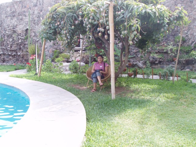 P1010127.JPG