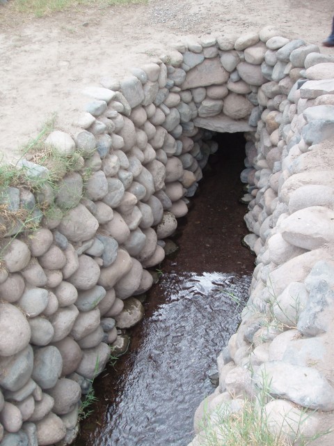 P1010134.JPG