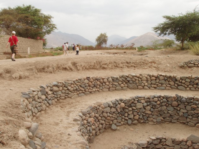P1010141.JPG