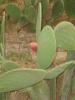 P1010150_thumb.JPG
