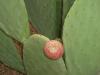 P1010151_thumb.JPG